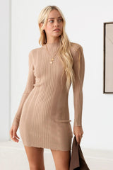 Long Sleeve Ribbed Mock Neck Sweater Mini Dress